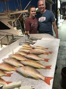 Lane snappers