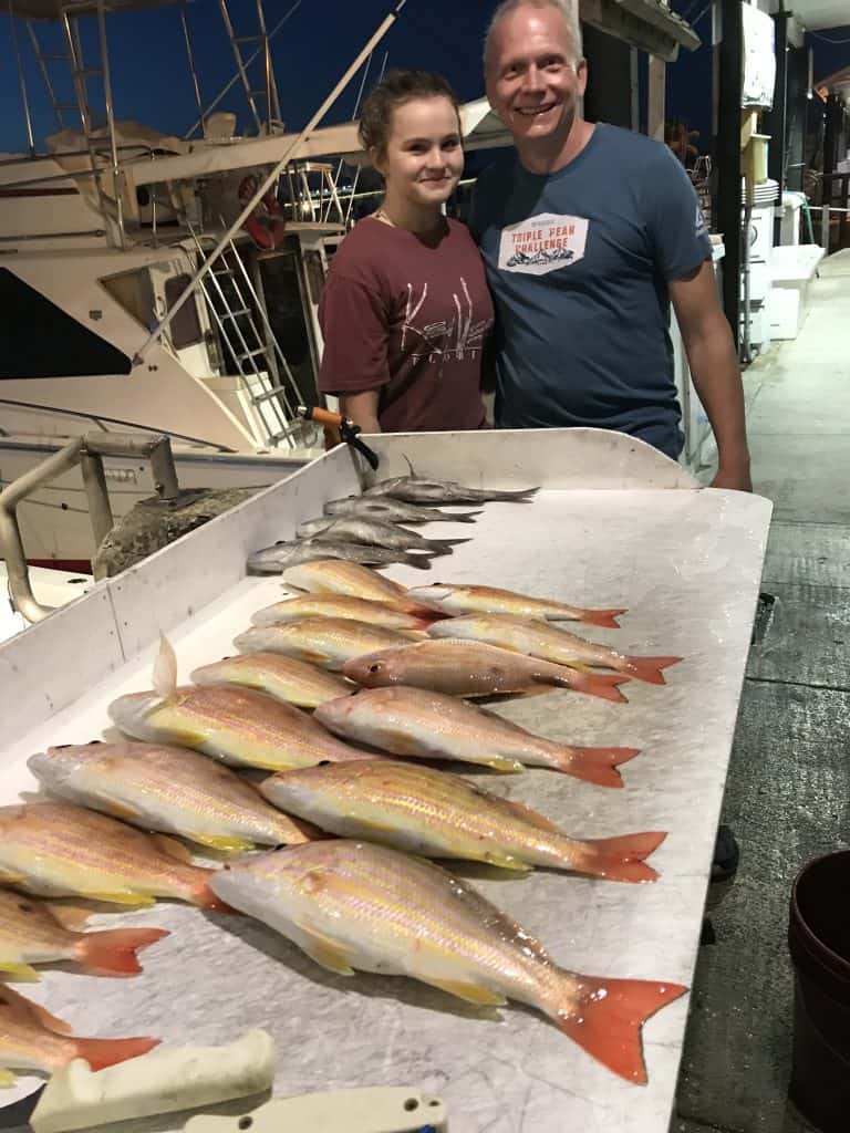 Lane snappers
