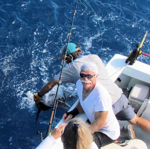 Sailfish released in Key West fishing with Southbound Sportfishing