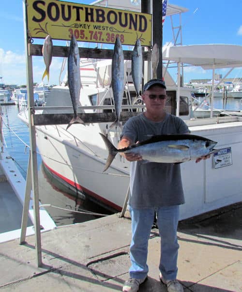 Black Fin Tuna caught on Southbound Sportfishing
