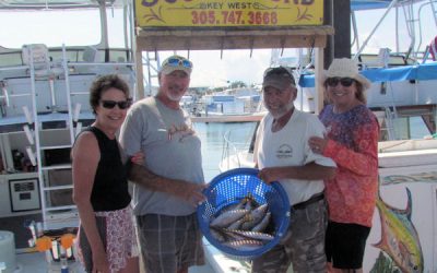 Fishing for Yellowtail Snappers