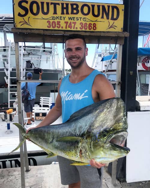 Big Bull Dolphin caught aboard the Southbound in Key West, Florida