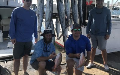 Big King Mackerel biting today