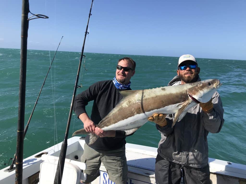 40 lb Cobia caught on Charter Boat Southbound in Key West, Florida