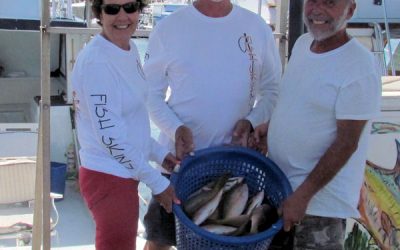 Yellowtails on the Reef