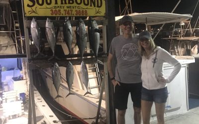 Late Black Fin Tuna Bite