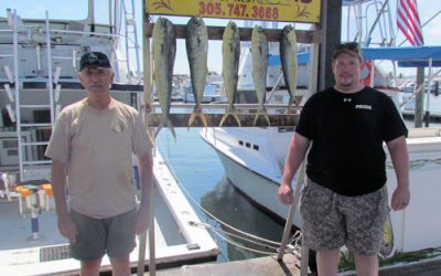 Missed another Blue Marlin