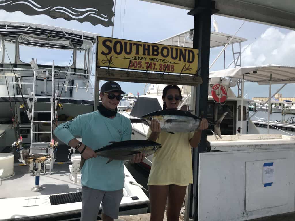 October 5th Black Fin Tuna