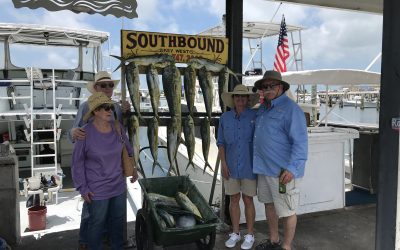 Good Day Catching Dolphin
