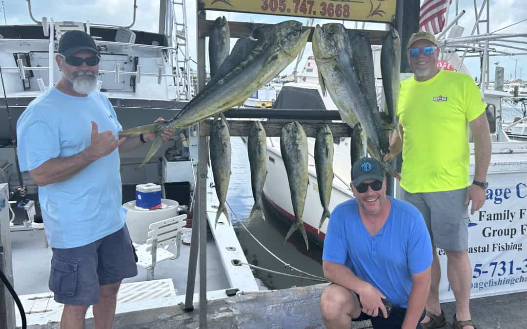 3 men with the days catch of Mahi at the dock