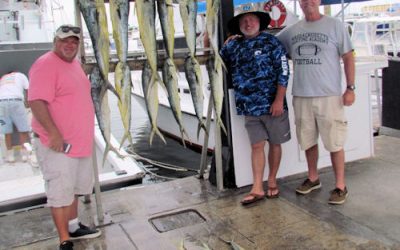 Back offshore fishing for Mahi
