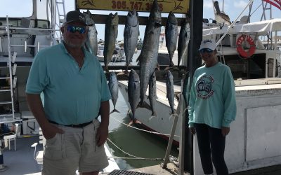 Nice weather and nice catch of fish