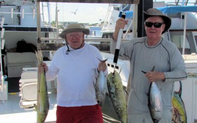 Dolphin and Black Fin Tuna
