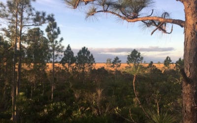 No fishing for a couple days