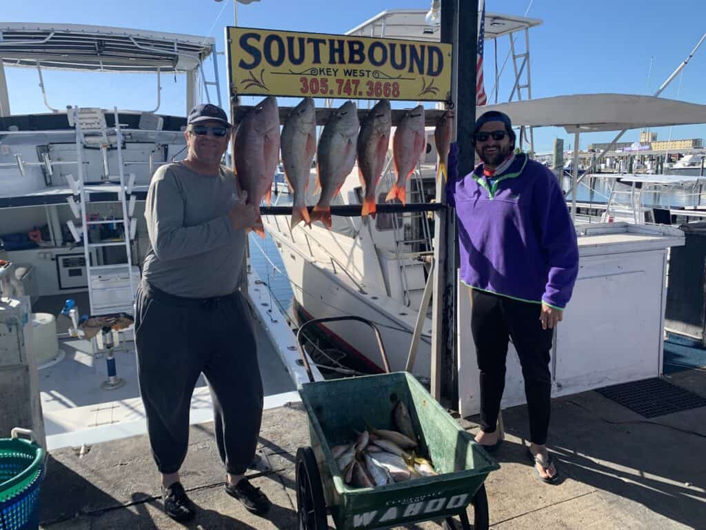 Nice catch of Mutton Snapper on charter boat Southbouond in Key West Florida