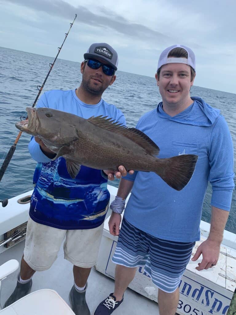 Black Grouper caught and released on charter Boat Southbound on a half-day today