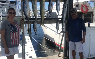 Tuna, Dolphin and Wahoo!