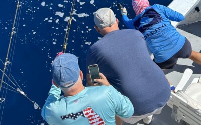 Tough fishing but a few good fish around