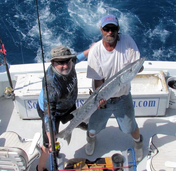 Big Barracuda caught and released in Key West fishing on charter boat