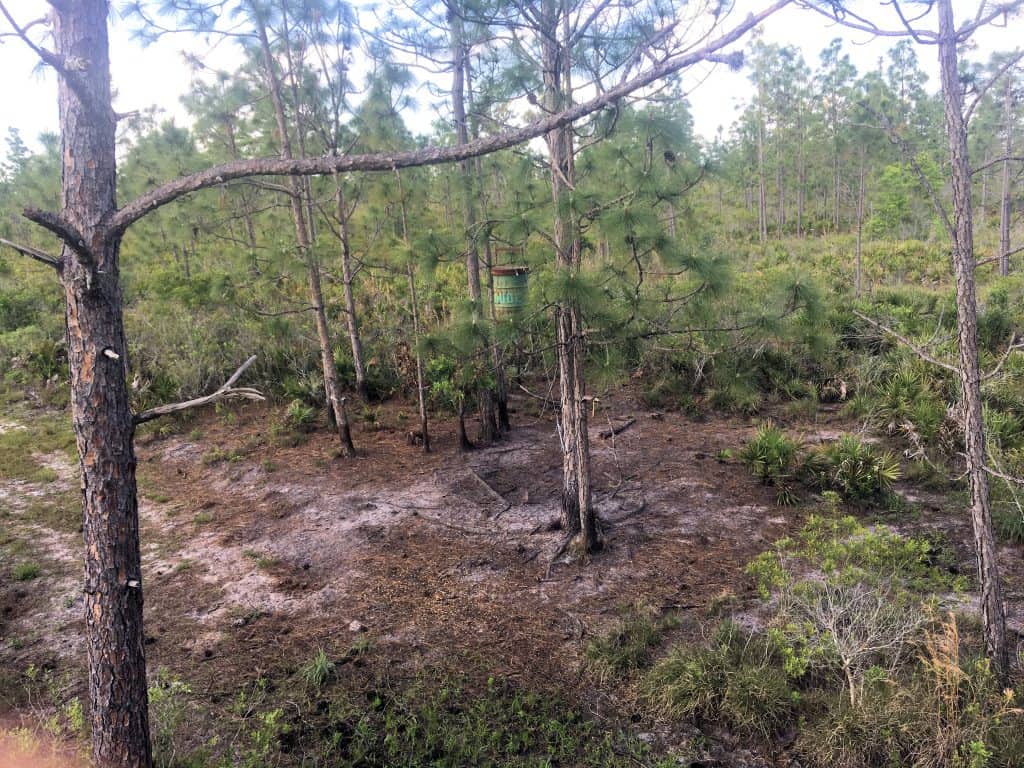 Sitting in a tree stand just relaxing and watching the day shut down