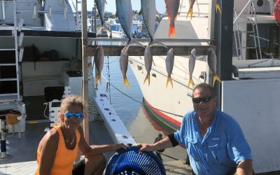 Snapper fishing today