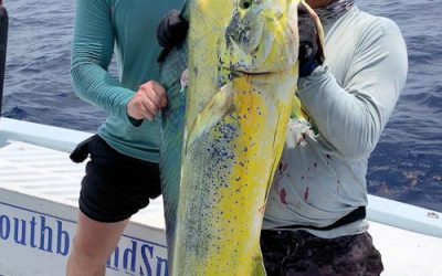 Monster Dolphin