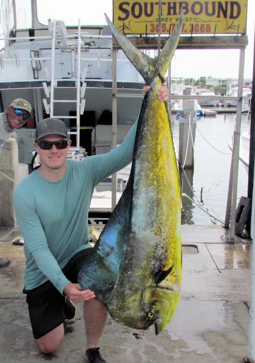 47 lb dolphin on the scale at the dock in Key West, Florida