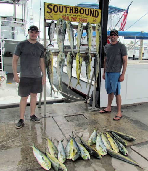 Great catch of dolphin from Key West Florida with Southbound Sportfishing
