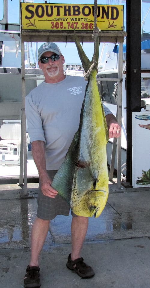 24 lb. Dolphin caught offshore fishing in Key West, Florida with Southbound Sportfishing