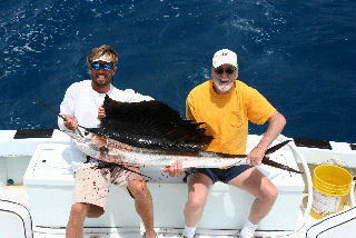 Sailfish