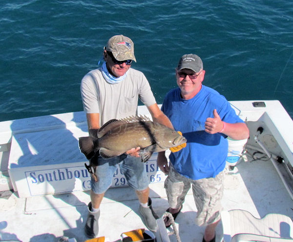 Grouper caught and released in Key West Fishing on charter boat Southbound