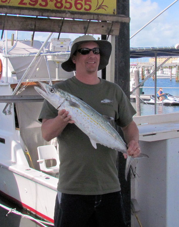 Big Cero Mackerel