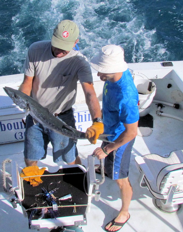 Barracuda caught in Key West fishing on Charter Boat Southbound