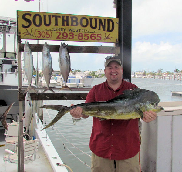 Bull Dolphin caught in Key West fishing on charter boat Southbound