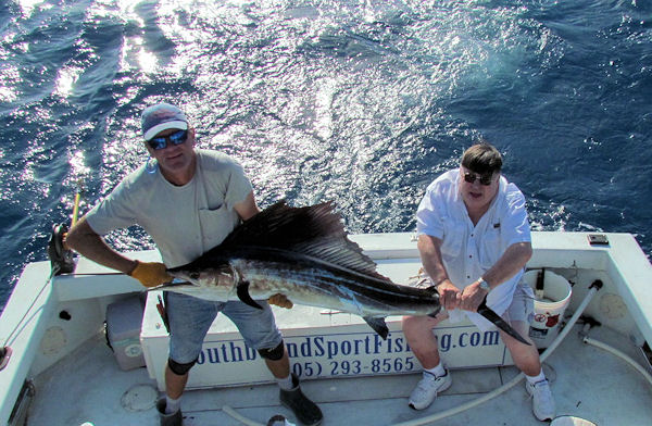Sailfish caught and released in Key West Fishing on Charter Boat Southboun