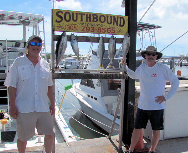 Small Blackfin tuna caught in Key West fishing on charter boat Southbound
