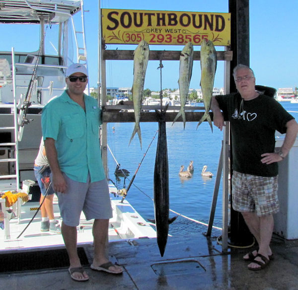 dolphin caught in Key West fishing on Charter Boat Southboud