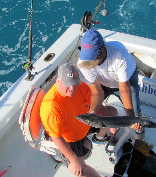 Barracuda caught in Key West fishing on charter Boat Southbound