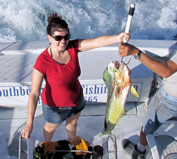 Dolphin caught in Key West Fishing on charter boat Southbound