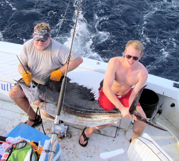 Sailfish Caught and Released in Key West fishing on charter boat Southbound