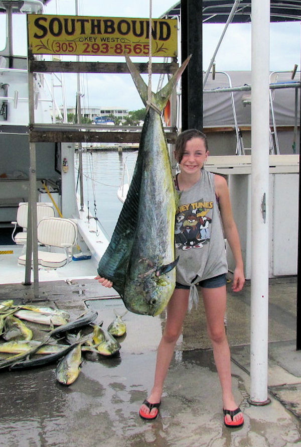Big dolphin caught fishing Key West on Key West Charter Boat Southbound