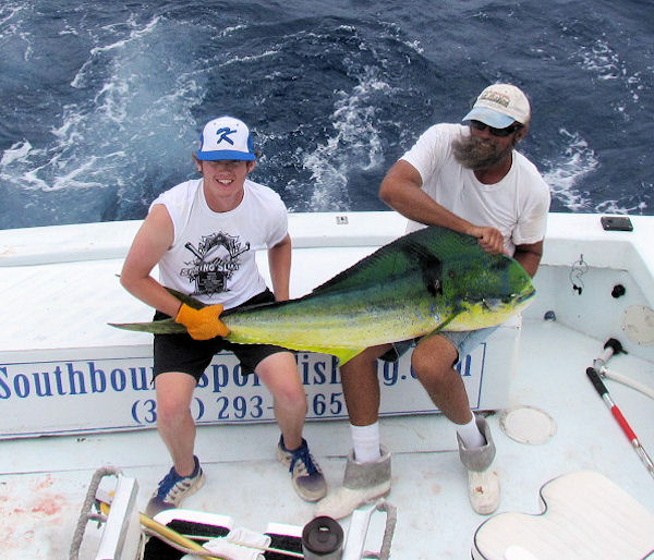 Big dolphin caught fishing Key West on Key West Charter Boat Southbound