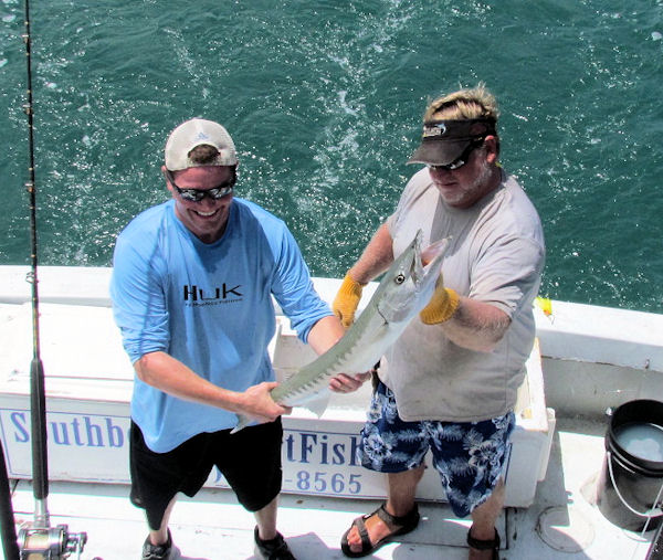 Barracuda caught and released in Key West fishing on charter boat Soutbound
