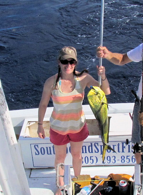 dolphin caught in Key West fishing on Charter Boat Southboud
