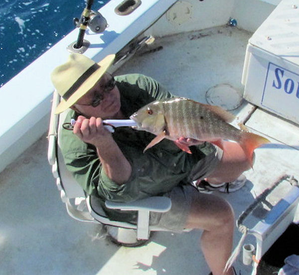 nice Mutton Snapper caught in Key West fishing on charter boat Southbound