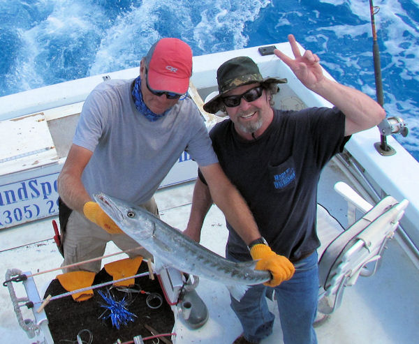 Barracuda Caught and Released in Key West fishing on Key West Charter Boat Southbound