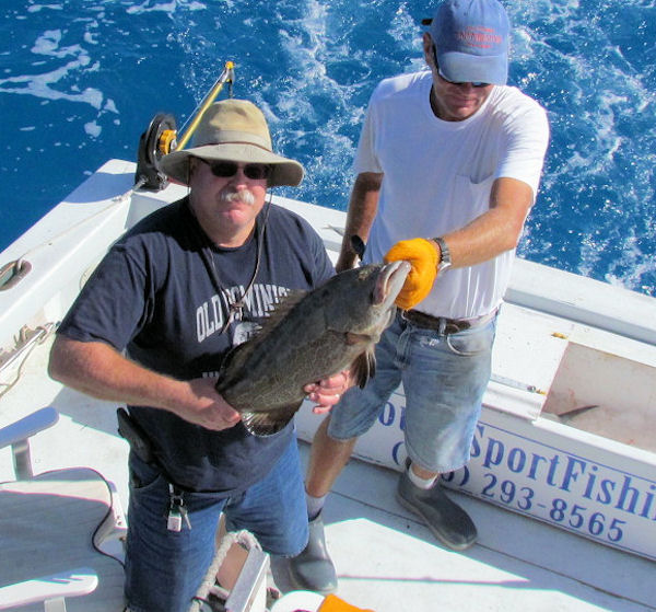 Grouper caught and released in Key West fishing on charter boat Southbound
