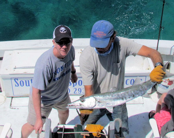 Barracuda caught in Key West Fishing on charter boat Southbound