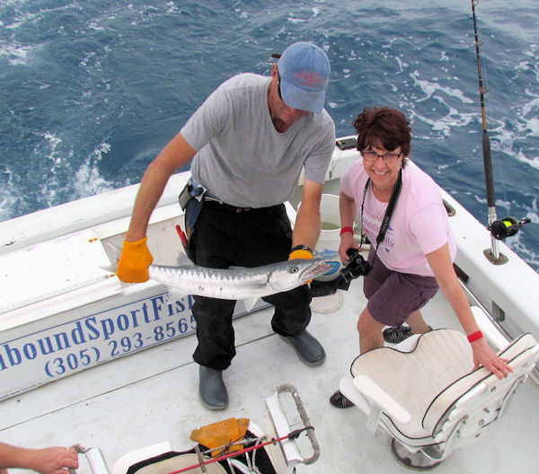 Barracuda released in Key West fishing on charter boat Southbound