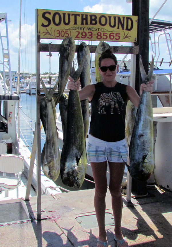 dolphin caught in Key West fishing on charter boat Southbound